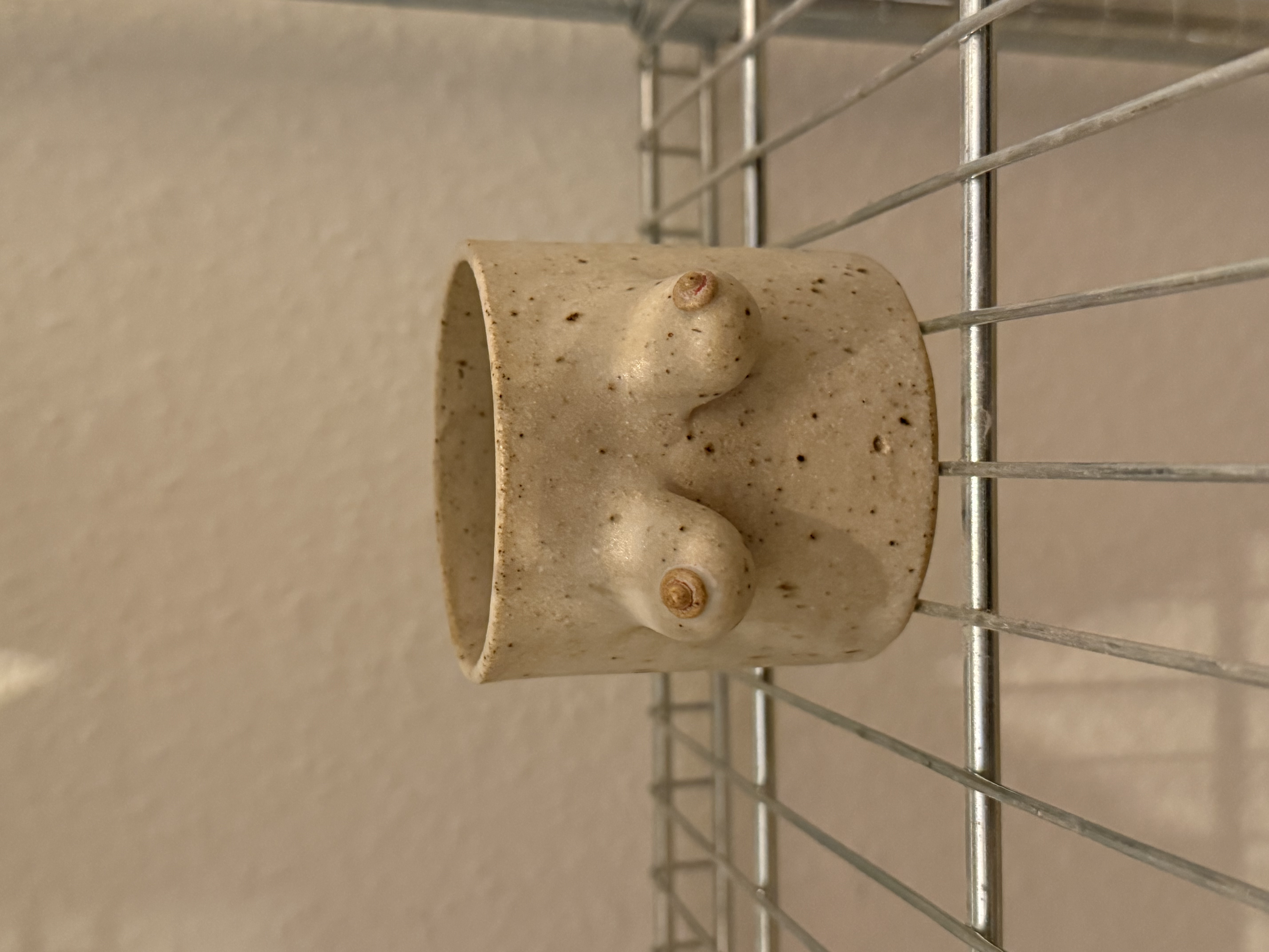 Tittycup